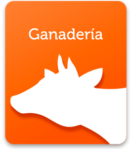 GANADERIA